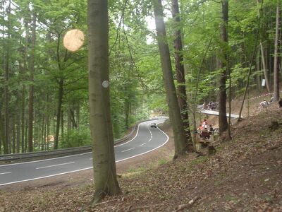 Bild 43