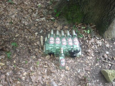 Bild 12