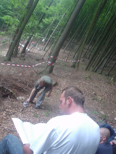 Bild 51