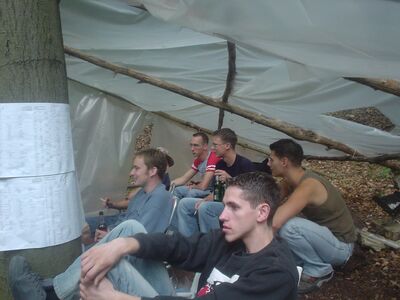 Bild 19