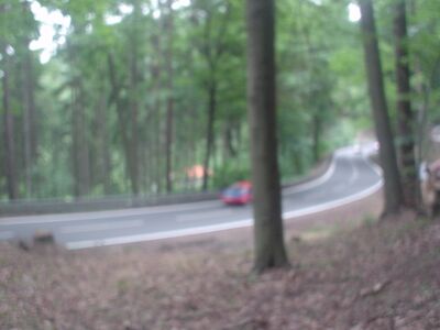 Bild 39