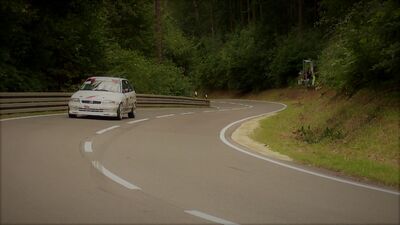 Bild 244