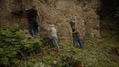 Bild 11